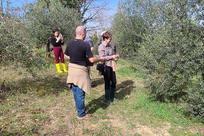 Truffle Hunting in Chianti, pasta class and lunch - Practical Tips: When to Go, What to Wear, and Weather Reality