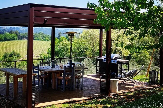 Truffle Hunting in Chianti, pasta class and lunch - Who Should Book This Truffle Hunt and Pasta Day?