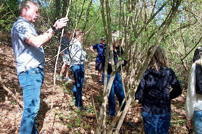 Truffle Hunting in Chianti, pasta class and lunch - Lunch on the Terrace: Wine Tasting, Olive Oil, and Truffle Shavings