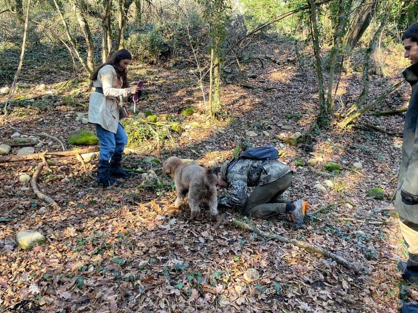 Truffle hunting in Chianti with pasta cooking class & lunch - Chianti’s Truffle Hunt Plus Pasta Class in One 4-Hour Block