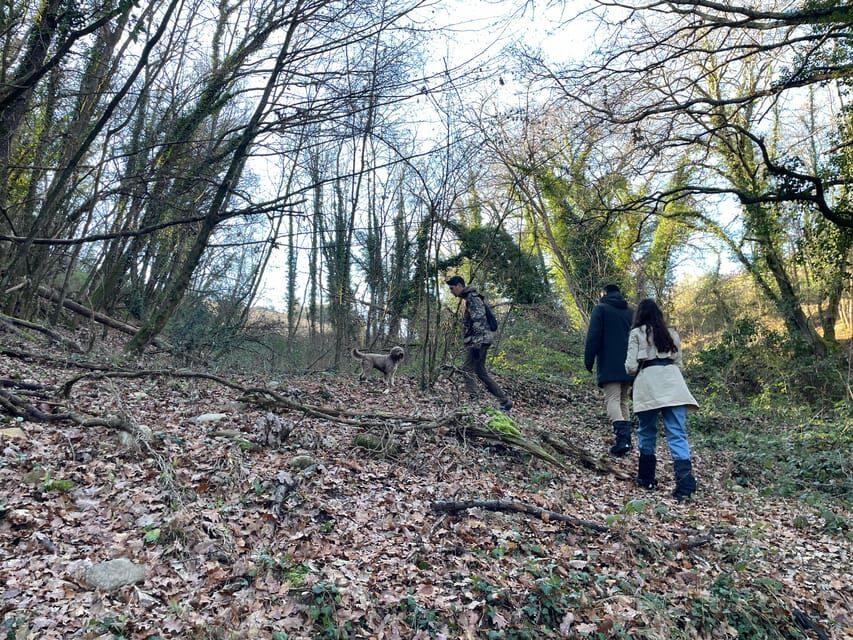 Truffle hunting in Chianti with pasta cooking class & lunch - From Greve to the Forest: How the Morning Really Works
