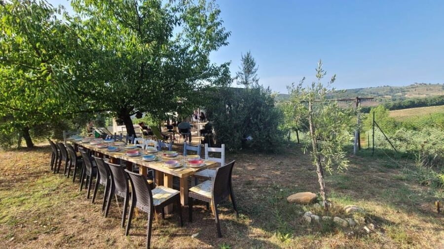 Truffle hunting in Chianti with pasta cooking class & lunch - Wine and Extra Virgin Olive Oil Tastings That Actually Teach