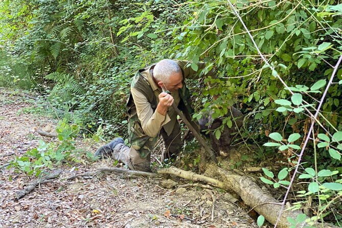 Truffle Hunting in Tuscany (private tour) - Stop 1: Truffle Hunting in Oak and Chestnut Forest (With Truffle Dogs)