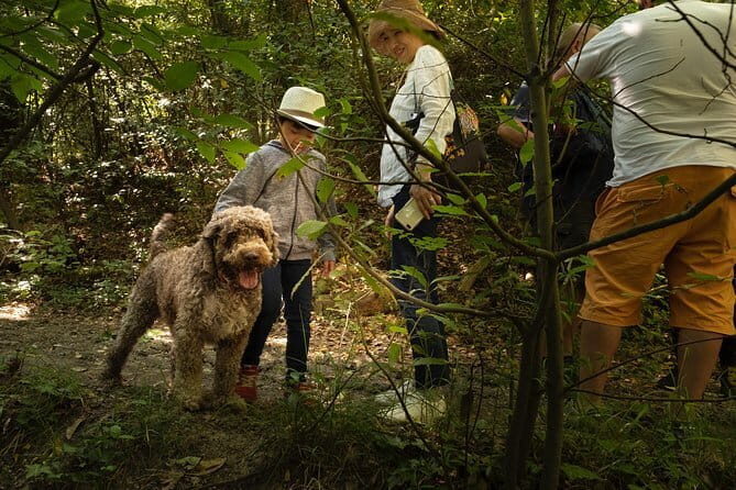 Truffle Picking Experience with 3 Course Meal in Chianti hills - Key points to know before you go