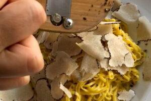 Truffle Picking Experience with 3 Course Meal in Chianti hills - Fattoria Lavacchio BIO Winery forest hunt (and meeting Faye)