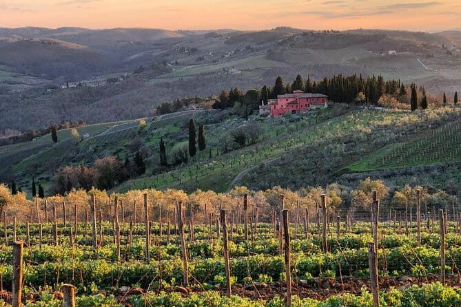 Tuk tuk in Chianti - Why a tuk tuk works so well for Chianti