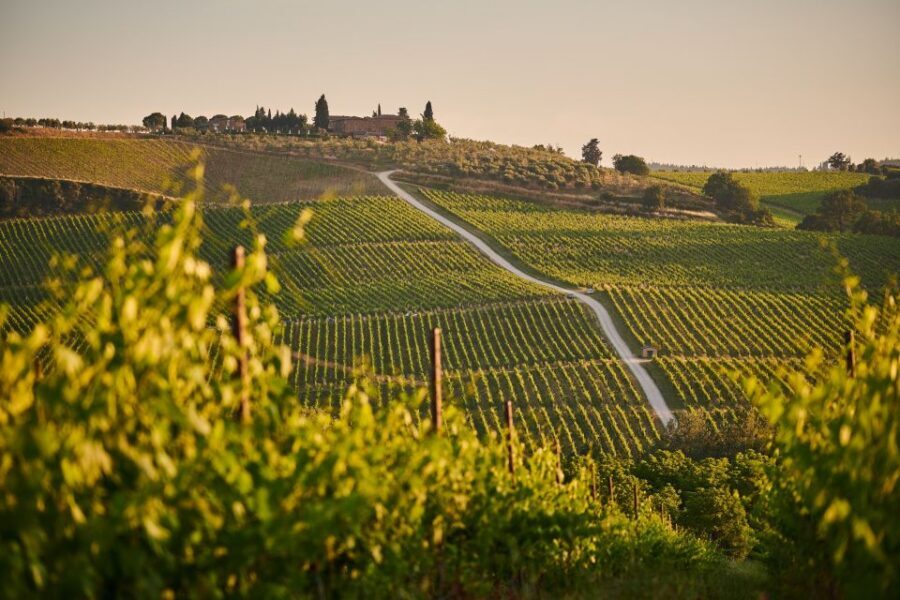 Tuscany: Chianti Wine Paradise Tour - FAQ