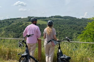 Tuscany E-Bike Tour: from Florence to Chianti with lunch and tastings - Diadema Wine & EVO: olive oil tasting with real process behind it