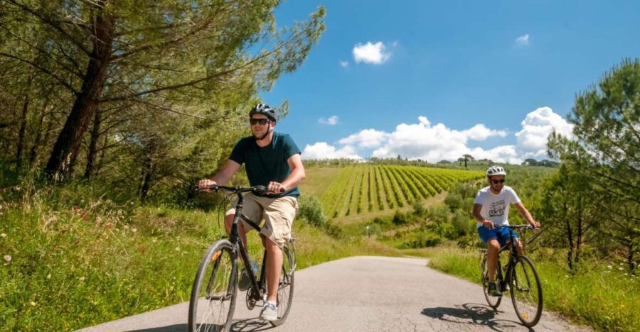 Tuscany: E-Bike Tour from Florence with Lunch - Key points before you pedal