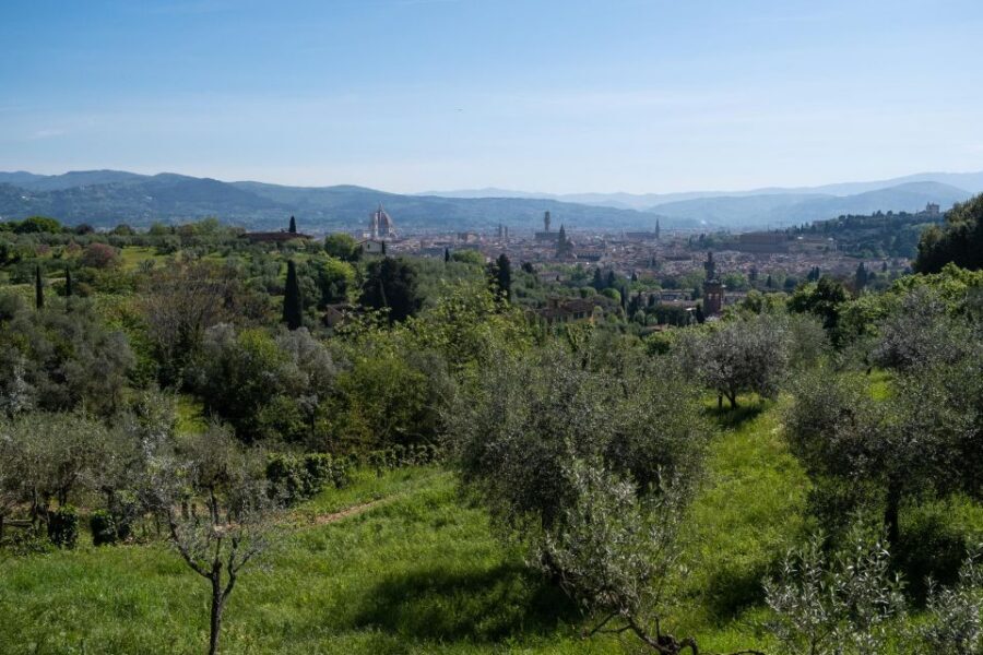 Tuscany Hills Bike Tour with Lunch at farm and Wine Tasting - Key highlights