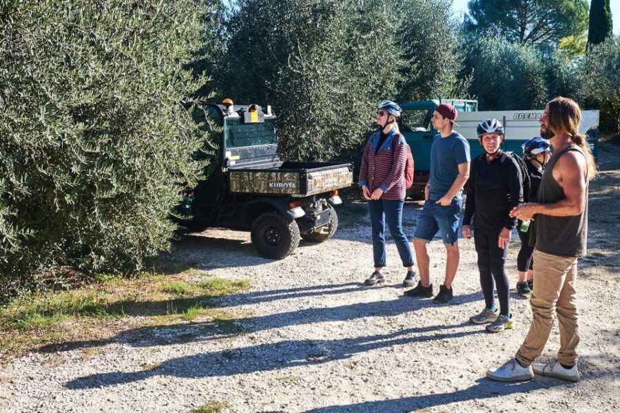 Tuscany Hills Bike Tour with Lunch at farm and Wine Tasting - Should you book this Tuscany Hills Bike Tour?