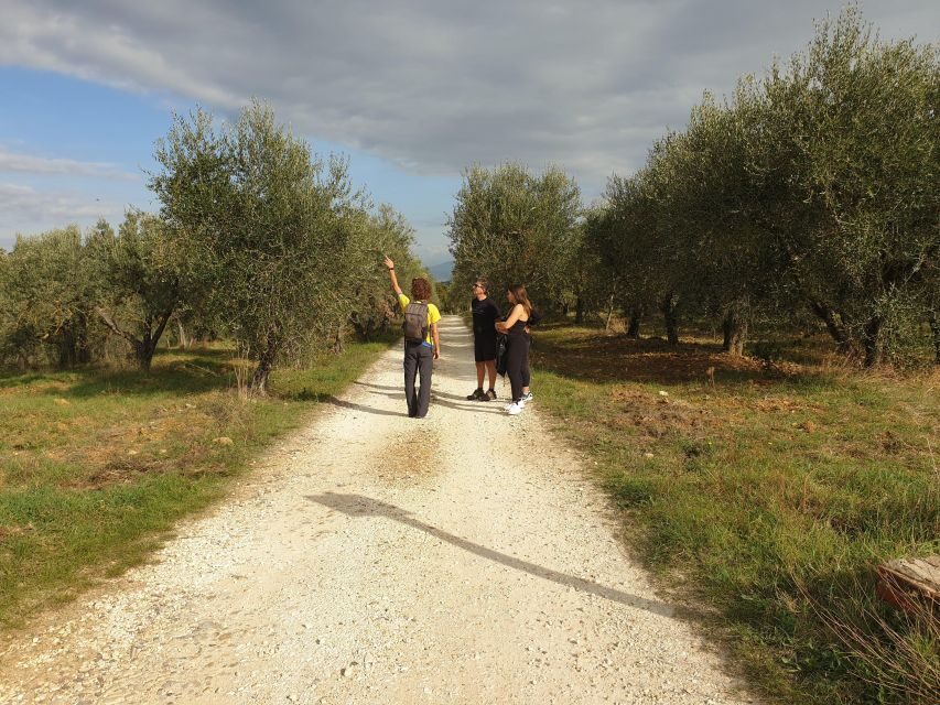 Tuscany Hills Bike Tour with Lunch at farm and Wine Tasting - Price value and what’s included in the $73.07