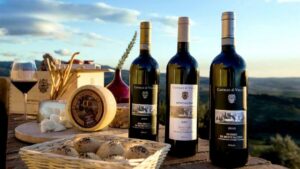 Tuscany: Montalcino Dinner at San Gimignano Winery - Welcome center walk: what you’ll actually see (and how it feels)
