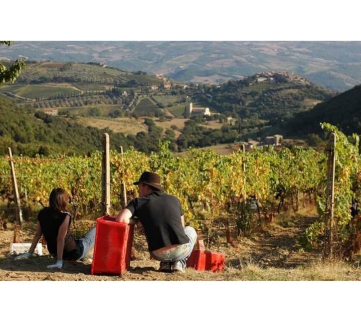 Tuscany: Montalcino Dinner at San Gimignano Winery - Wine tastings and pairings: more than just sipping