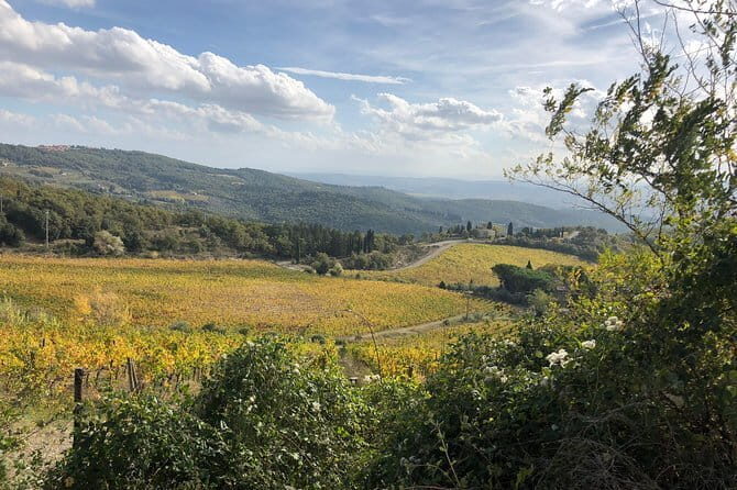 Tuscany off the beaten paths - Pickup, Small Group Size, and Pacing With Cooltours