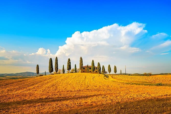 Tuscany Private Tour with Wine and Cheese Tasting from Florence - The big idea: a private Tuscany day that actually feels like a day