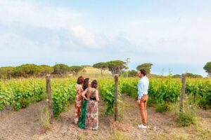 Tuscany: Ripalte Design Winery Wine and Cheese Tasting Tour - The Design Winery experience: Tobia Scarpa cellar on a 1000-acre estate