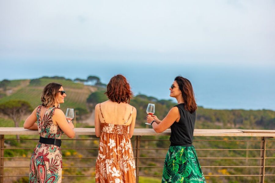 Tuscany: Ripalte Design Winery Wine and Cheese Tasting Tour - Who should book this tour (and who might skip it)