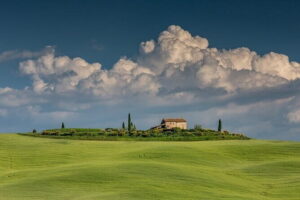 Tuscany Tour Siena - San Gimignano - Winery - Chianti Road Winery Lunch and Wine Tasting: What You Actually Get