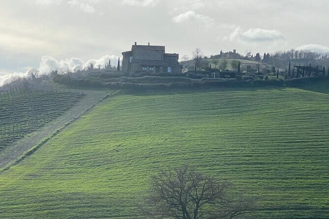 Tuscany Tour Siena - San Gimignano - Winery - Who Should Book This Tuscany Day Trip