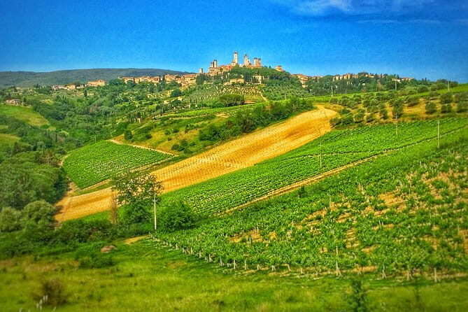 Tuscany Vespa Tour from Florence with Wine Tasting - Winery Lunch and Wine Tasting: Chianti With Your Meal