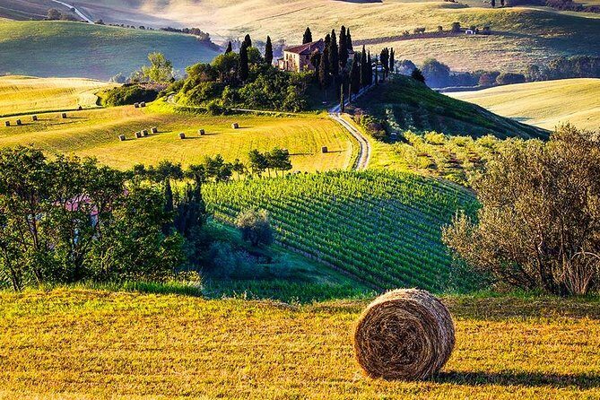 Tuscany Wine & Hills from Florence - Small Group - Val d’Orcia UNESCO Views From the Bus Window (and Why It Matters)