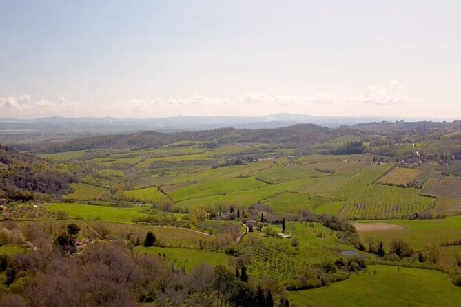 Tuscany Wine & Hills from Florence - Small Group - Pienza Lunch Break and City Time (Don’t Overplan Your Wander)