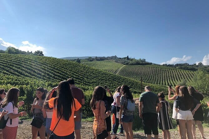 Tuscany Wine Tastings with Panoramic View - Florence to Chianti - Buying wine and shipping it home without turning your suitcase into a disaster