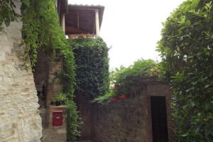Villages of Chianti with lunch and tasting in Open Top Van - Piazza Matteotti in Tuscany: arcades, shops, and a quick feel for local life