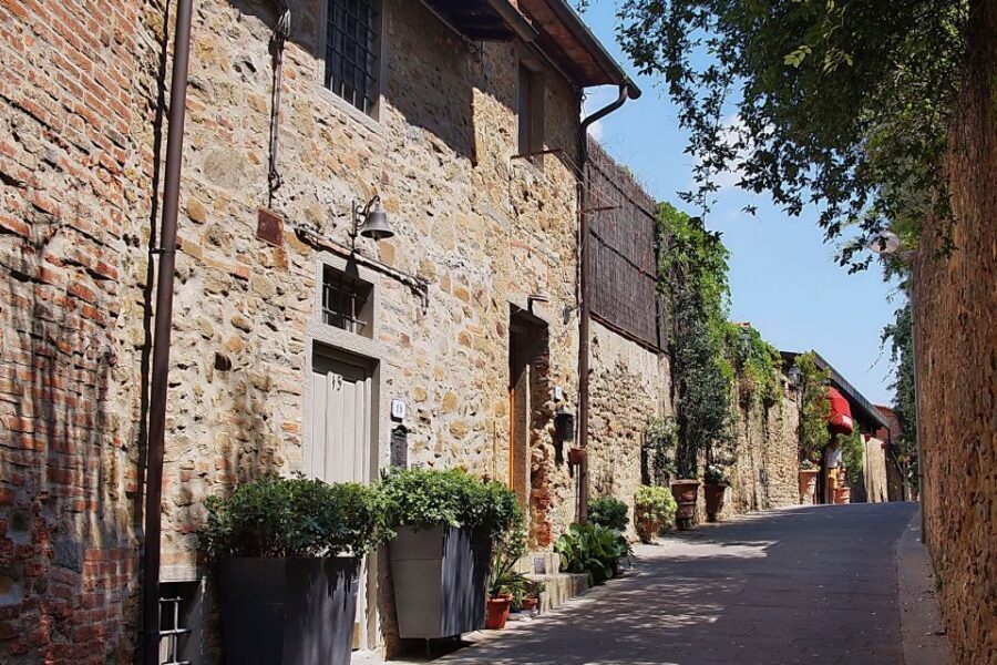 Vinci: The Footsteps of Leonardo and Wine Tasting Tour - Who This Vinci and Chianti Tour Suits Best