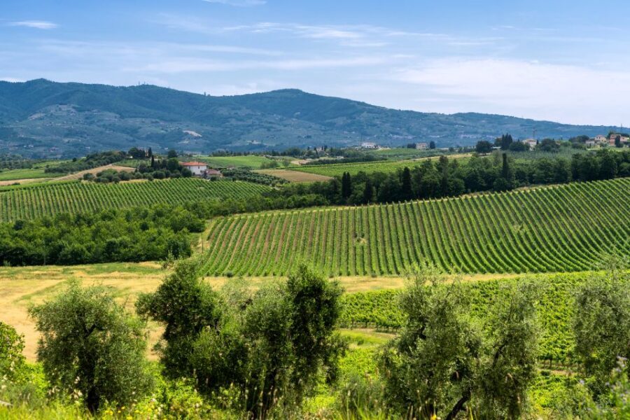 Vinci: The Footsteps of Leonardo and Wine Tasting Tour - Should You Book This Leonardo Footsteps and Wine Tour?