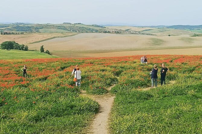 VIP Brunello Montalcino, Montepulciano & Val d'Orcia with Lunch - The Drive: Chianti Hills, Monteriggioni Walls, and Real-Time Tuscany