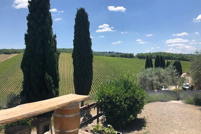 Visit Of The Chianti Classico And The Tuscan Countryside - Key highlights you’ll actually feel during the day