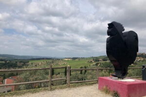 Visit Of The Chianti Classico And The Tuscan Countryside - San Casciano in Val di Pesa: a winery warm-up when you want it