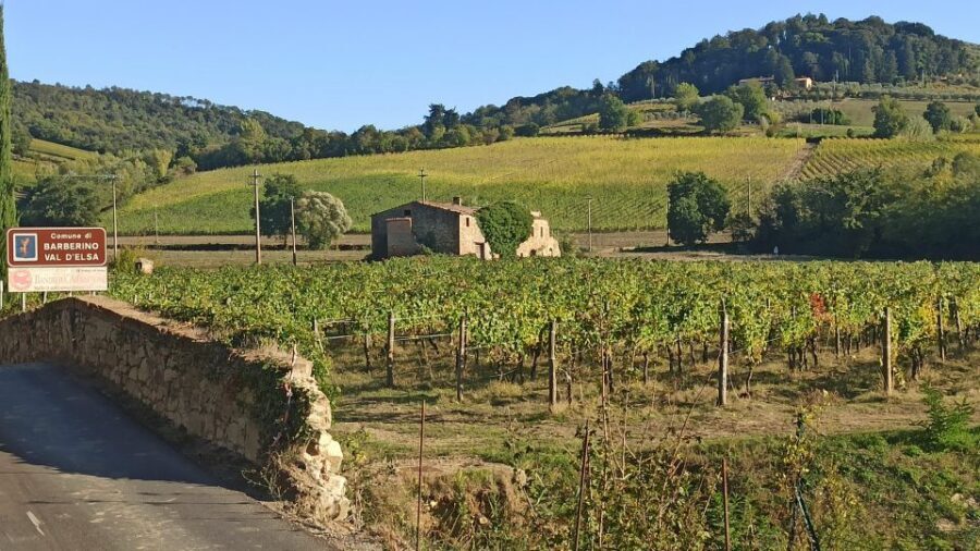 Visit Siena and San Gimignano with lunch at a family farm - FAQ