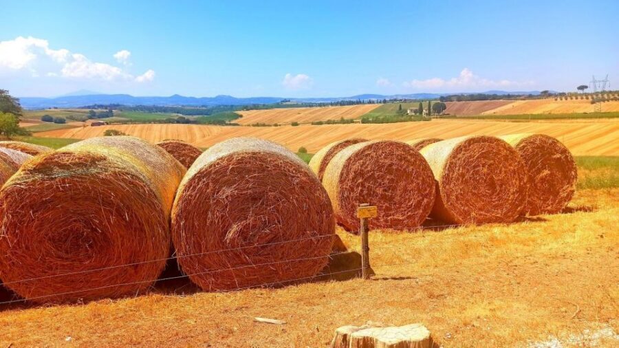 Visit Siena and San Gimignano with lunch at a family farm - Private Pick-Up From Florence: how the day stays easy
