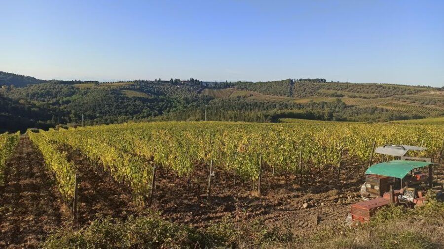 Visit Siena and San Gimignano with lunch at a family farm - Chianti hills photo stop: the scenery without the long detour