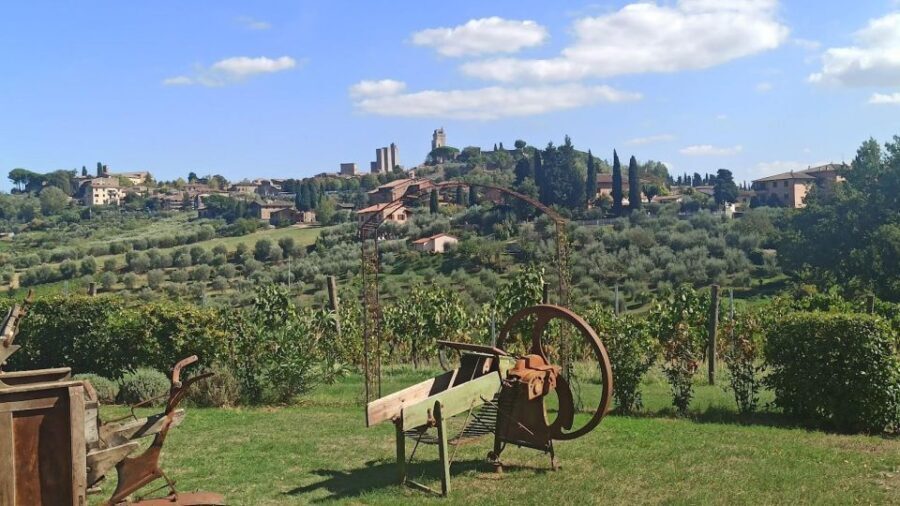 Visit Siena and San Gimignano with lunch at a family farm - Who this tour fits best