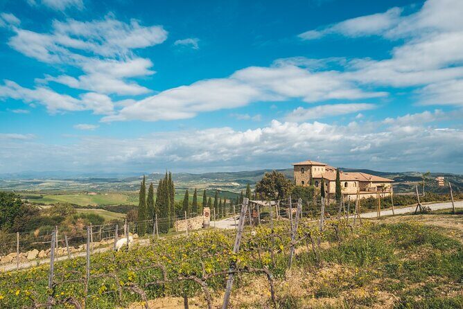 Visit to the Cellar with Wine & Food Tasting over the Val d'Orcia - Finding the meeting point and keeping the plan simple