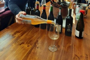 Wine & cheese Lover’s Paradise in hart of Florence - What you actually taste: 8 cheeses and 4 Italian wines