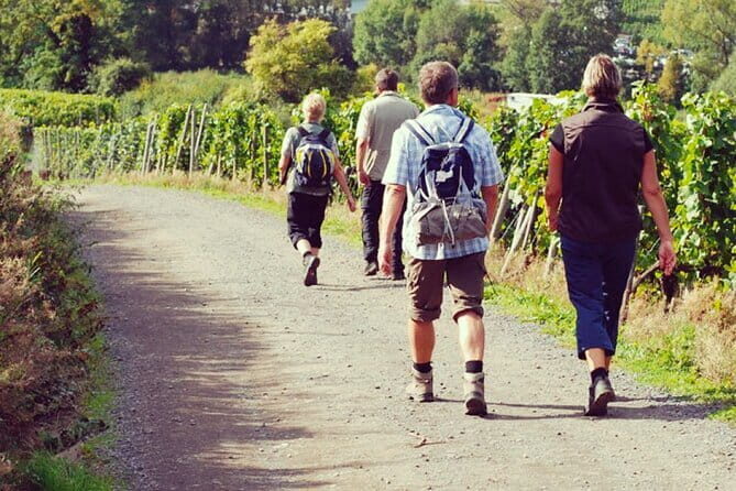 Wine Hiking Sip & Trek - Key things that make this hike worth your time