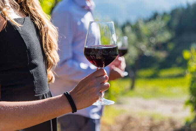 Wine Hiking Sip & Trek - The historic castle stop: wine, photos, and a real change of pace