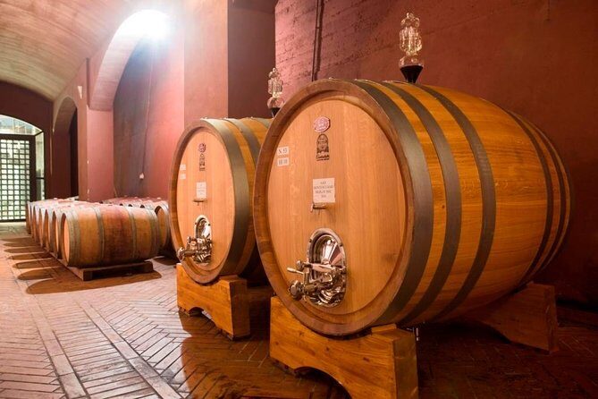 Wine tasting and guided tour of the cellar - Fattoria Sorbaiano in Montecatini Val di Cecina (DOC Montescudaio)