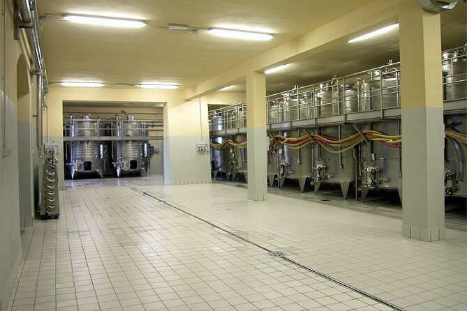 Wine tasting and guided tour of the cellar - Why the food pairing works (and why I’d plan around it)