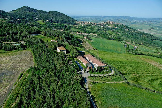 Wine tasting and guided tour of the cellar - Price and value at about $23 per person
