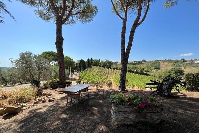 Wine Tasting and History Guided Day Tour in Chianti - A full day in Chianti Classico, starting from Piazza della Repubblica