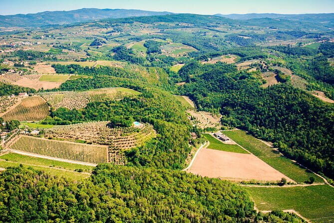 Wine Tasting by CarusVini in San Casciano in val di Pesa - The 1-hour flow that keeps it fun (not rushed)