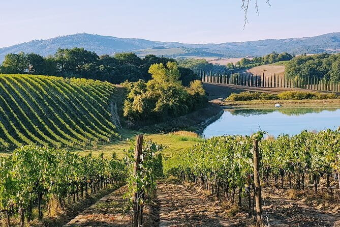 Wine Tasting by CarusVini in San Casciano in val di Pesa - Practical details to know before you book