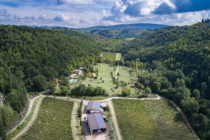 Wine Tasting by CarusVini in San Casciano in val di Pesa - Inside the winery and barrel cellar: what you’ll actually see