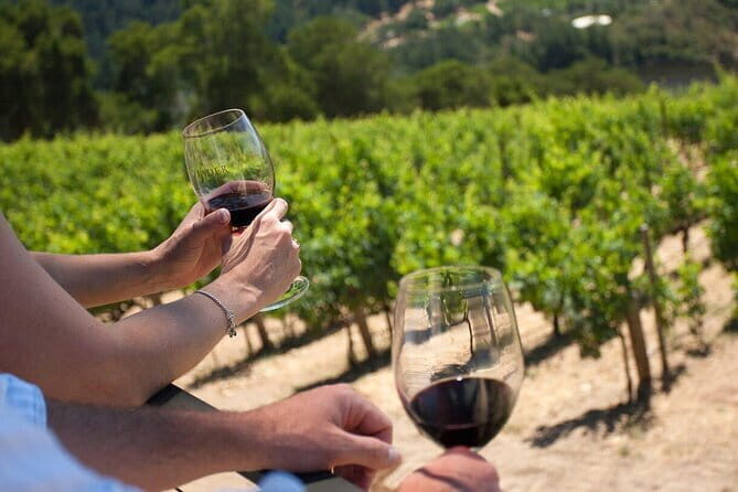 Wine tasting in TWO family wineries around Florence - Key points to know before you go